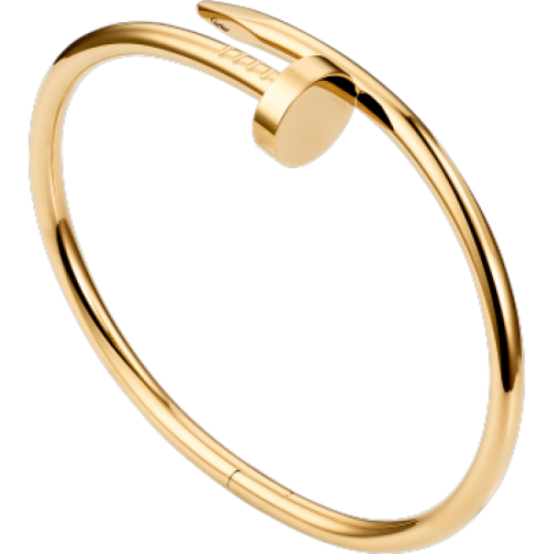 Nail Style Gold Colored Titanium Steel Women Bracelet image