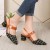 Women's Chunky Block Heels Pointed Toe Buckle Shoes-Black
