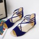 Fashion Comfort Solid Strap Low-heeled High Wedge Sandals-Blue image