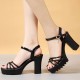 Peep Toe Platform Hollow Ankle Straps High Heel Sandals - Black image