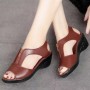 Casual Style Thick Soled Hollow Peep Toe Zipper Wedge Sandals Brown