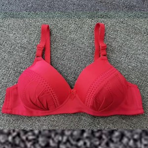 Elastic Sponge Thin Mold Cup Push Up Wire Free Women Bra - Red