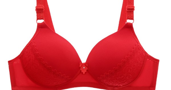 Buy Comfortable Sponge Padded Gathered Floral Lace Women Bra - Red, Fashion
