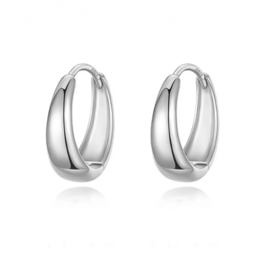 Stylish Silver Hoop Earrings for Women image