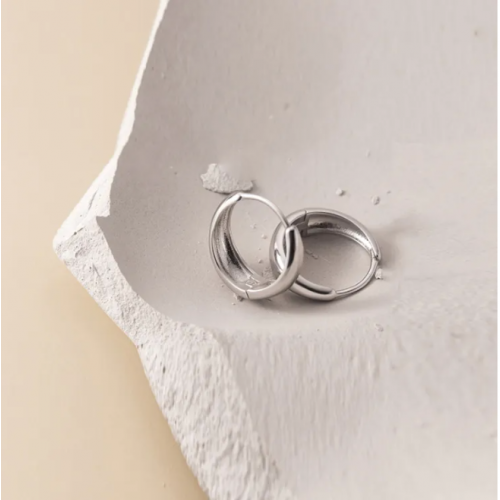 Stylish Silver Hoop Earrings for Women image