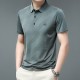 Men's Short Sleeve Striped Polo Shirt - Green image